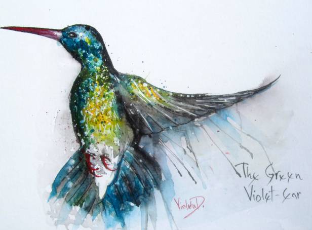 The Green Violet-Ear, 29x39 cm, Hahnemühle 425 gsm, December 2013